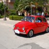 Montevago 2010 (236)